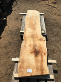 Sycamore boards 5-6-18