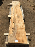 Sycamore boards 5-6-18
