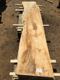 Sycamore boards 5-6-18