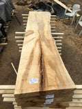 Sycamore boards 5-6-18