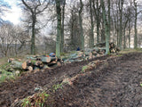 Timber harvesting
