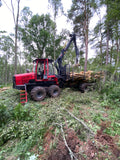Timber harvesting