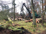 Timber harvesting