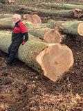Timber harvesting